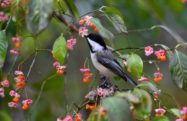 Quels sont les enjeux du marketing digital pour les marques engagées dans la réduction des déchets ?